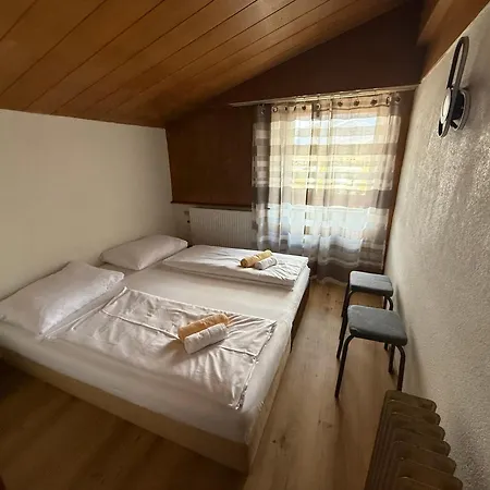 Marina Alpen Haus Guest house Zell am See