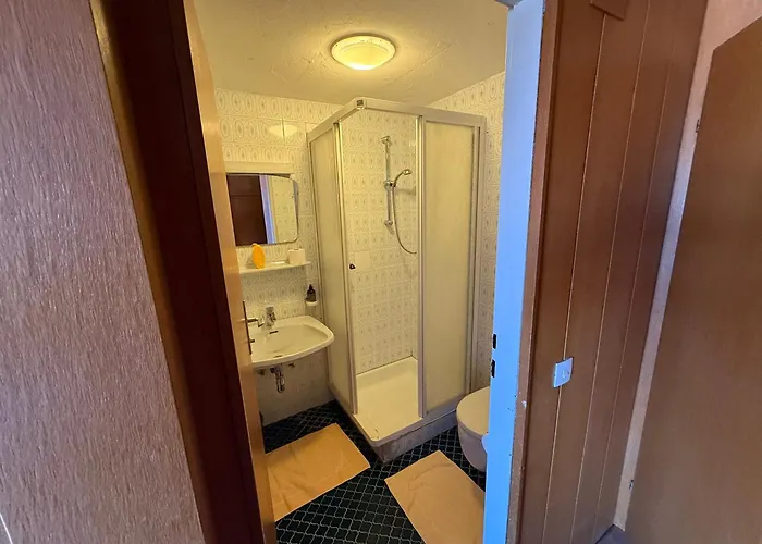 Marina Alpen Haus Guest house Zell am See