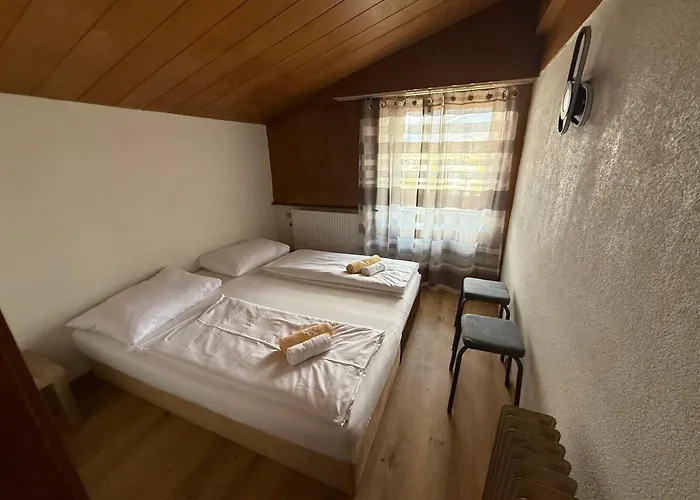 Marina Alpen Haus Pensionat Zell am See